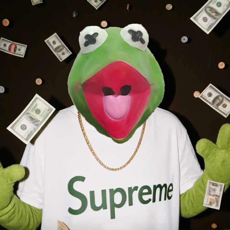 The Kermit Frog Meme Head Mask - Anime Cosplay Meme review and price