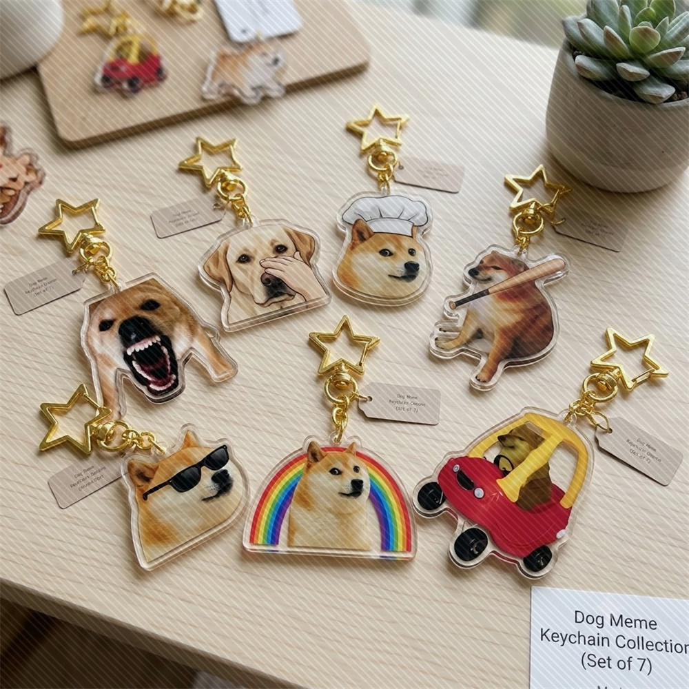 6CM Anime meme Acrylic Keychai - Anime Cosplay Meme review and price